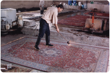 Safa Carpet Gallery - Carpet Cleaning in Bangkok